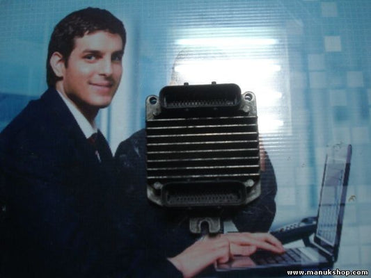 Centralita del motor Opel 16250009 DELPHI HSFI-C