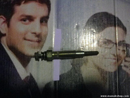 Bujía de precalentamiento Nissan Terrano Ford Maverick II 0250202093