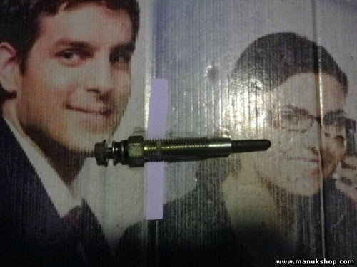 Bujía de precalentamiento Nissan Terrano Ford Maverick II 0250202093