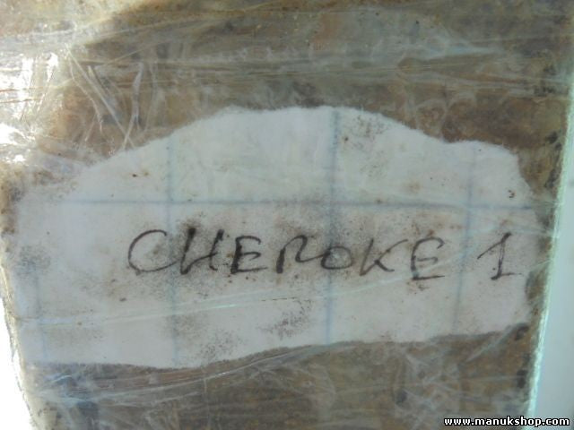 Ballestas suspensión Jeep Cherokee XJ 2.5i 4x4 1984/10-2001/09 5886188AA EC1170