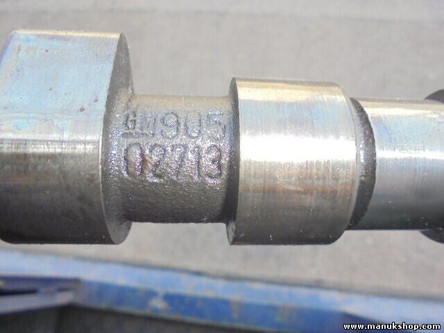 Árbol de levas Opel Astra Zafira Frontera B 2.2L GM 90502713 905 02713