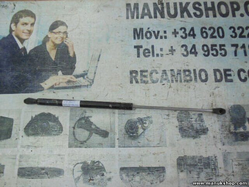 Portón Trasero amortiguador Tata Safari 4X4 269988700133 2699 8870 0133