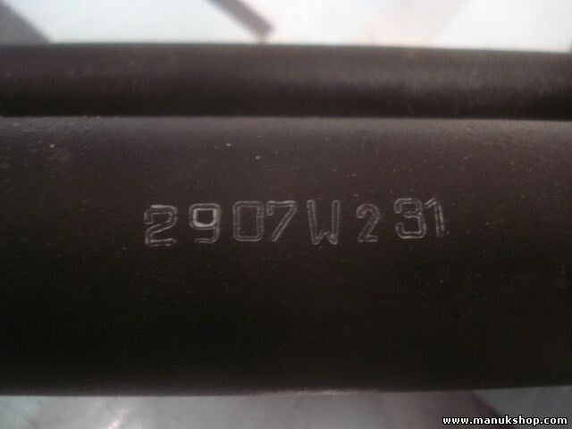 La placa trasera Nissan Micra Cabrio 2907W231 84986BC002