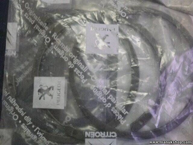 Citroen Peugeot 334535 3345.35