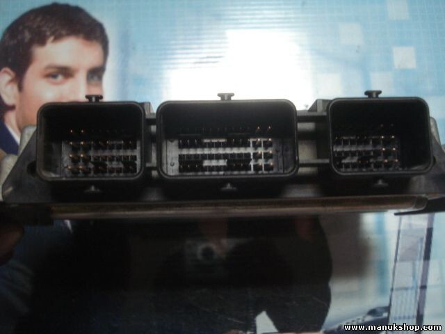 Centralita del motor Peugeot 207 9663755480 9653958980 EDC16C34 BOSCH 0281013868