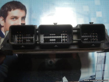 Centralita del motor Peugeot 207 9663755480 9653958980 EDC16C34 BOSCH 0281013868