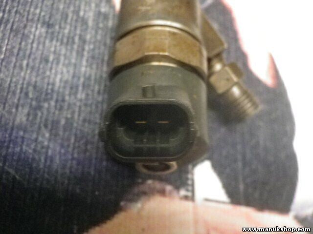 Inyectores Hyundai Santa Fe Kia Carens BOSCH 0445110064 0445110 064 3380027010