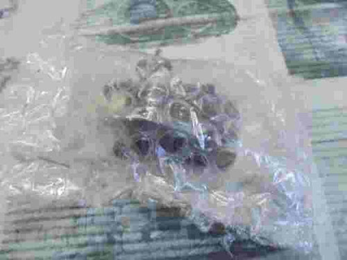 Cover Specchio Esterno ToyotaCamry Corolla RAV4 4Runner Avalon 8794AF4030