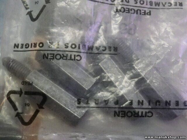 VIS colonnette Citroen Peugeot 143169 1431.69