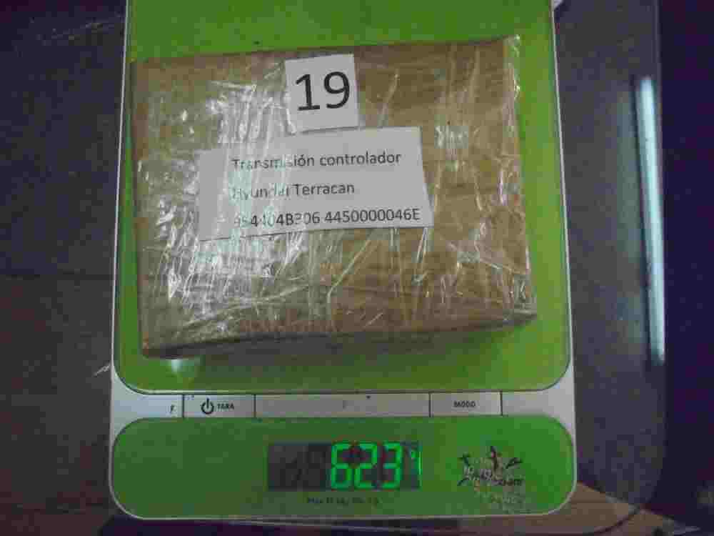 Controller di trasmissione Hyundai Terracan Borgwarner 954404B306 4450000046E