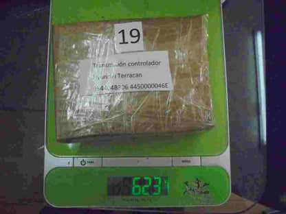 Controller di trasmissione Hyundai Terracan Borgwarner 954404B306 4450000046E