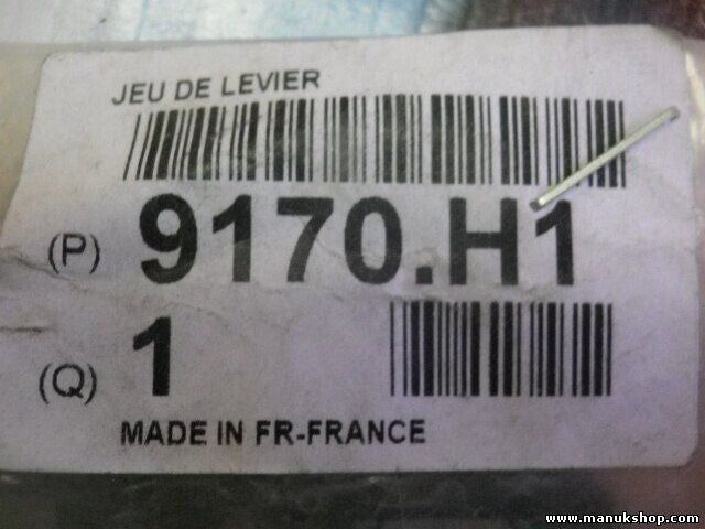 Citroen Peugeot 9170H1 9170.H1