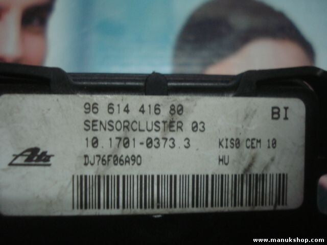 Sensor guiñada Peugeot 207 2006-2009 9661441680 96 614 416 80 BI DJ76F06A90