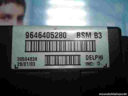 Caja de fusibles de relé  Citroen Xsara 1.6 BSM B3 9646405280 DELPHI 23170936