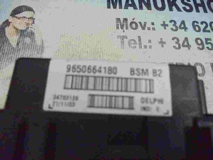 Scatola fusibili relè Peugeot 206 207 Citroen C3 9650664180 BSM B2 DELPHI