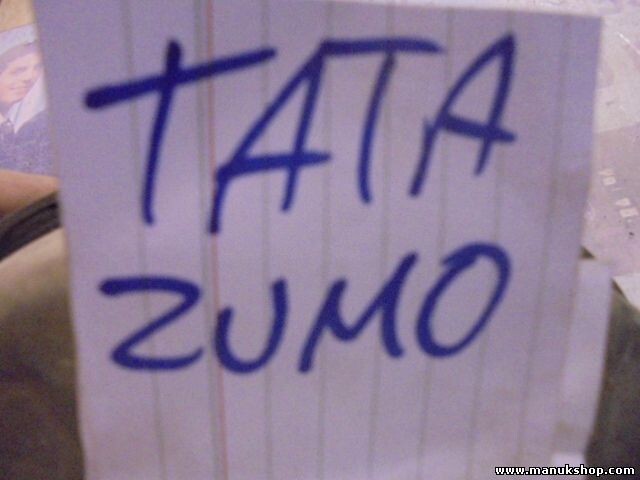 Servofreno Tata 2.0 D 1996 M450080 M 450080