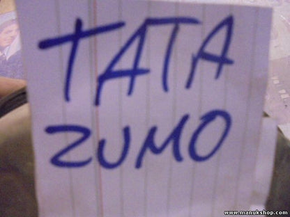 Servofreno Tata 2.0 D 1996 M450080 M 450080