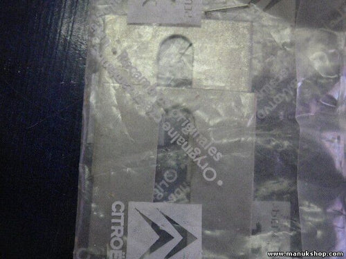 AJUSTE DE CUÑA Citroen Peugeot 9045.11 904511