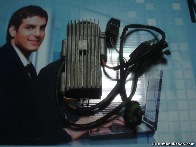 Centralina modulo elettroventilatore Land Rover 25978 9300013A 9420014A