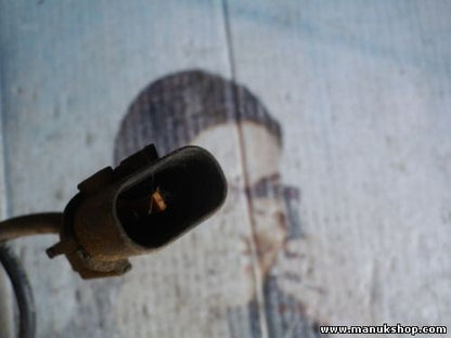 Sensor velocidad revoluciones de la rueda Hyundai Terracan 59810H1050