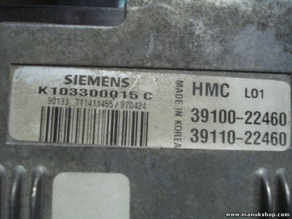 Centralita del motor Hyundai Excel Accent II Pony HMC L01 39100-22460 3910022460