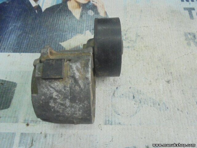 Tensor Correa Auxiliar Fiat Punto 46819146