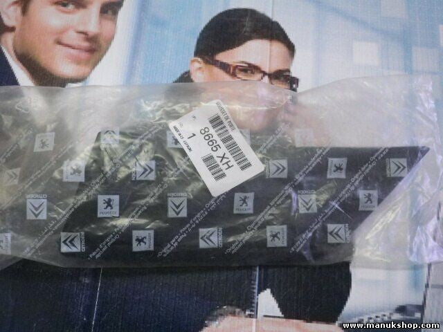 Citroen Peugeot 8665XH 8665 XH