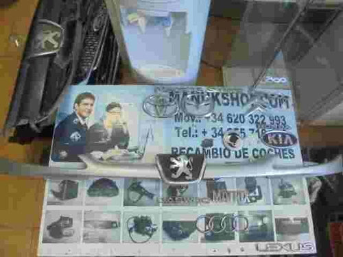 Parrilla rejilla frontal delantera Peugeot 206 1998-2005 9628691277 1851948001