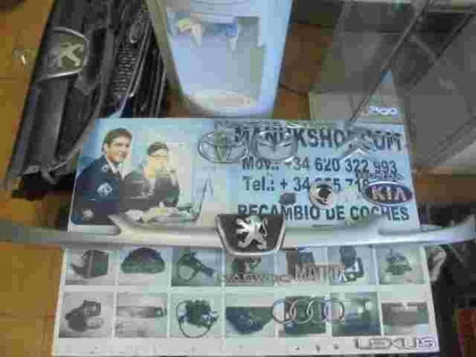 Parrilla rejilla frontal delantera Peugeot 206 1998-2005 9628691277 1851948001