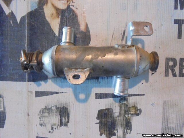 Refrigerador de gas de escape Peugeot Citroen Berlingo Xantia 206 2,0 9639874380