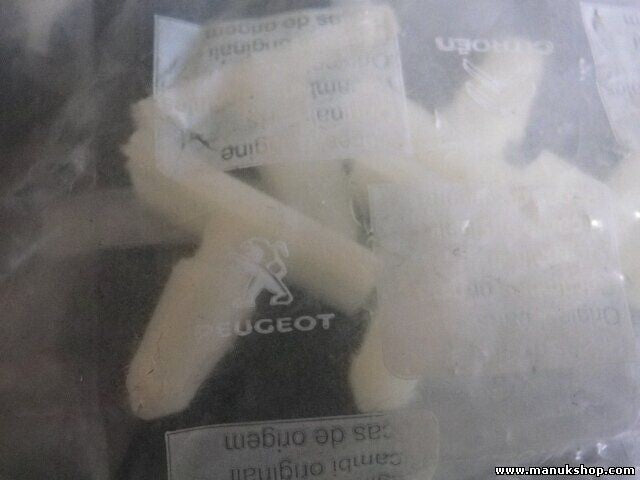 AGRAF ENJOL P_C Citroen Peugeot 7437 07 743707