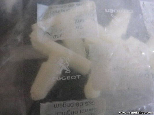 AGRAF ENJOL P_C Citroen Peugeot 7437 07 743707