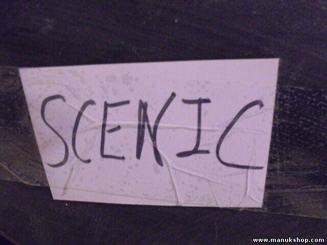 Parachoques Renault Scenic 7700435881 7700435880 77 00 435 881 77 00 435 880