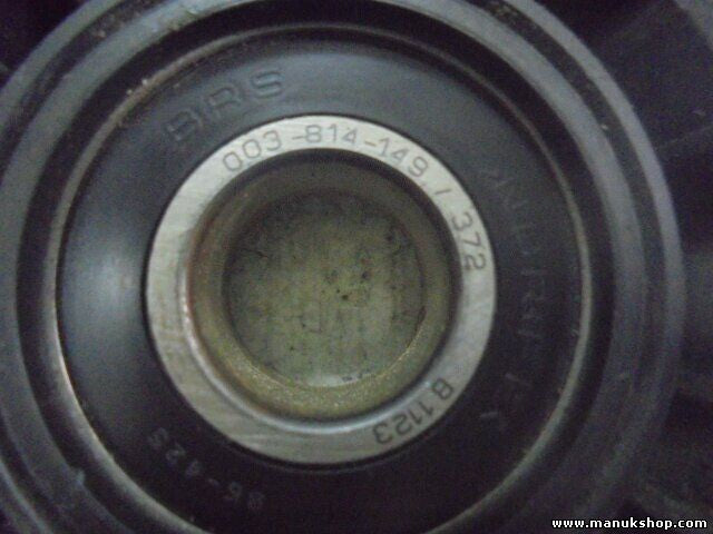 Tensor de correa VW Audi Chrysler Mercedes-Benz INA F228319 F228319 003814149372