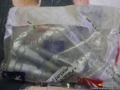 1050 Citroen Peugeot 410562 4105.62