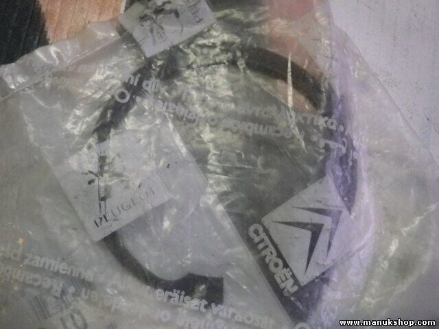 Citroen Peugeot 3738 10 373810