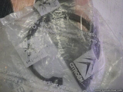 Citroen Peugeot 3738 10 373810