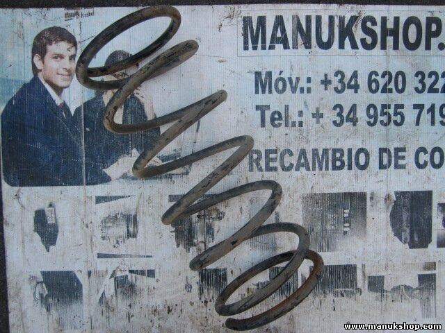 Muelles Mitsubishi Pajero Montero