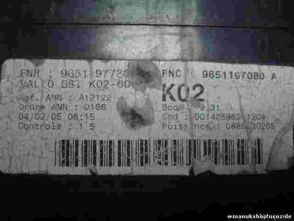 Caja de fusibles Peugeot 307 VALEO K02-00 FNR 9651197780A 9651197780 9651197080A