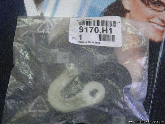 Citroen Peugeot 9170H1 9170.H1