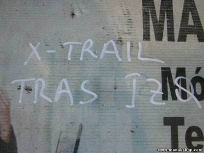 Vetro porta posteriore sinistra Nissan X-Trail 43R00122 00122M213SAS2