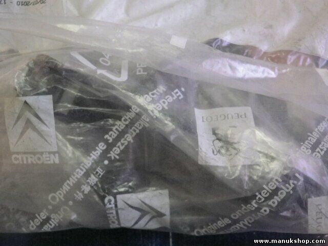 Citroen Peugeot 858245 8582.45