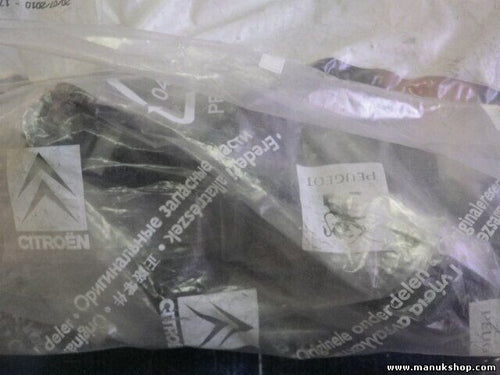 Citroen Peugeot 858245 8582.45