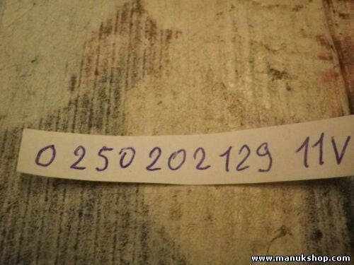 Bujía de precalentamiento Renault Kangoo Clio II Dacia Solenza 0250202129 11V