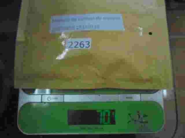 Módulo de control de crucero Chevrolet Blazer S10 25073959 25110310