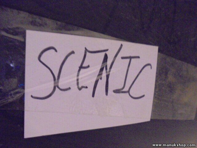 Parachoques Renault Scenic 7700437695 7700437699 7700437708 7700435879