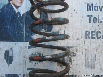 Muelles Land Rover Discovery