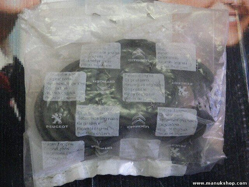 Entrada de caché tube  Citroen Peugeot 9241 A8 9241A8