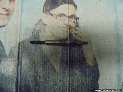 Bujía de precalentamiento Volkswagen 2.5 Renault Scenic II Megane 1.9 0250202022