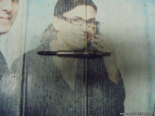 Bujía de precalentamiento Volkswagen 2.5 Renault Scenic II Megane 1.9 0250202022